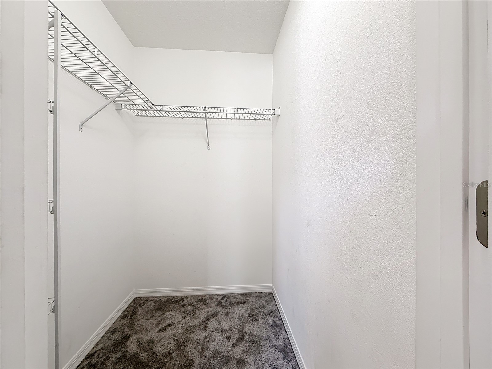 31806 Parkdale Drive Leesburg FL 34748 TB8520395 image28