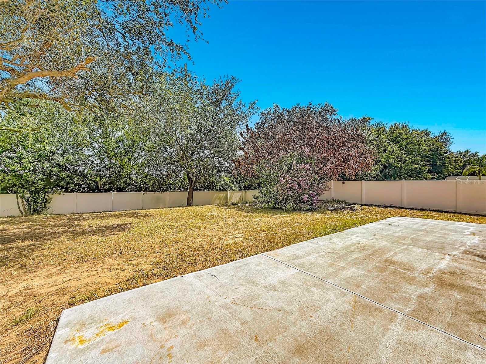 31806 Parkdale Drive Leesburg FL 34748 TB8520395 image42