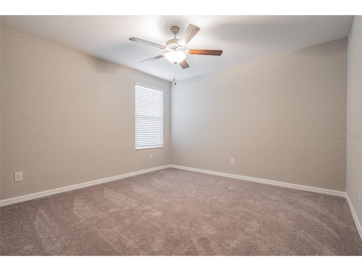 31807 Barrel Wave Way Wesley Chapel FL 33545 TB8422164 image15