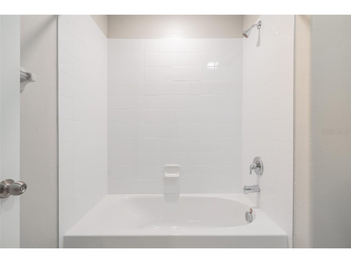 31807 Barrel Wave Way Wesley Chapel FL 33545 TB8422164 image18