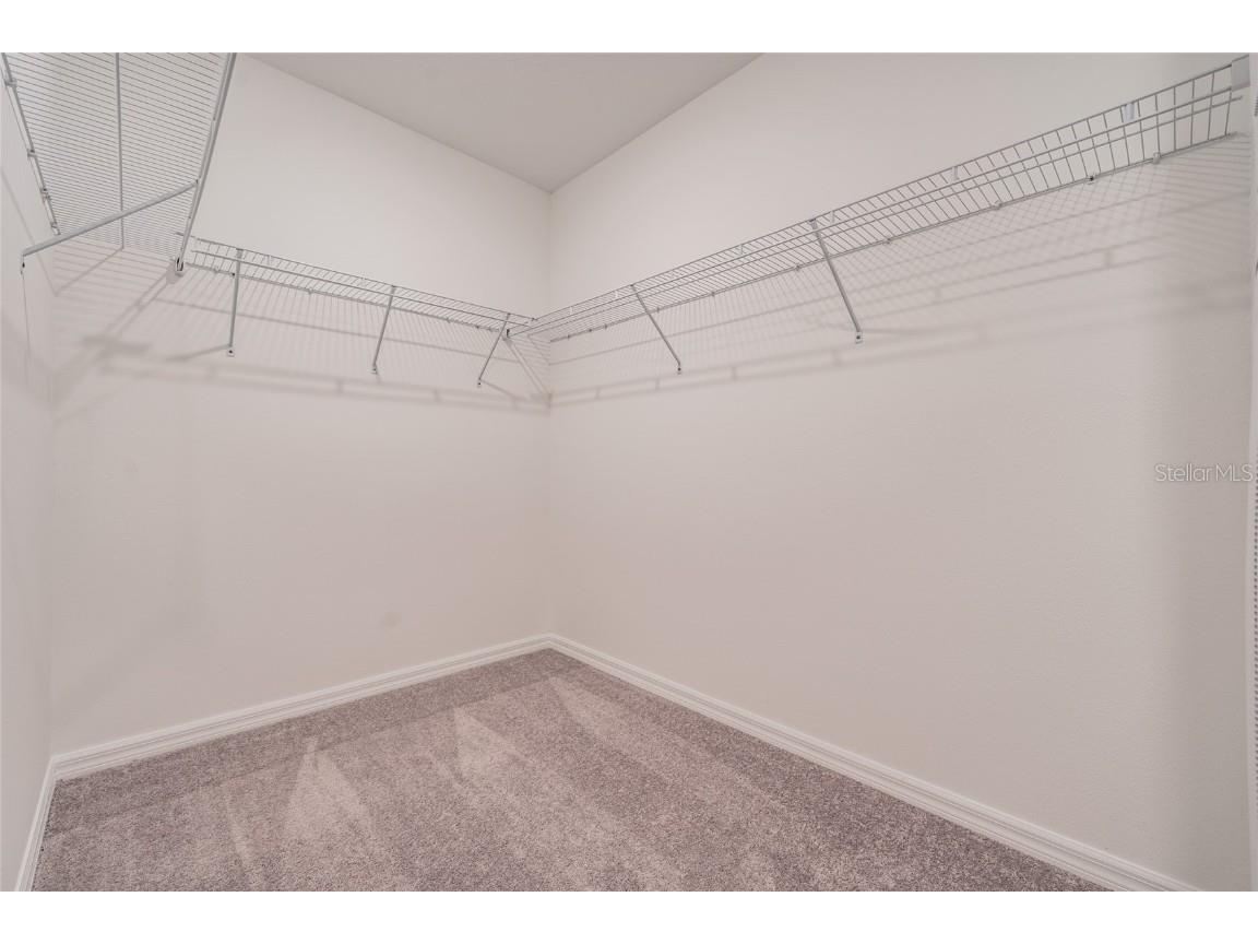 31807 Barrel Wave Way Wesley Chapel FL 33545 TB8422164 image33