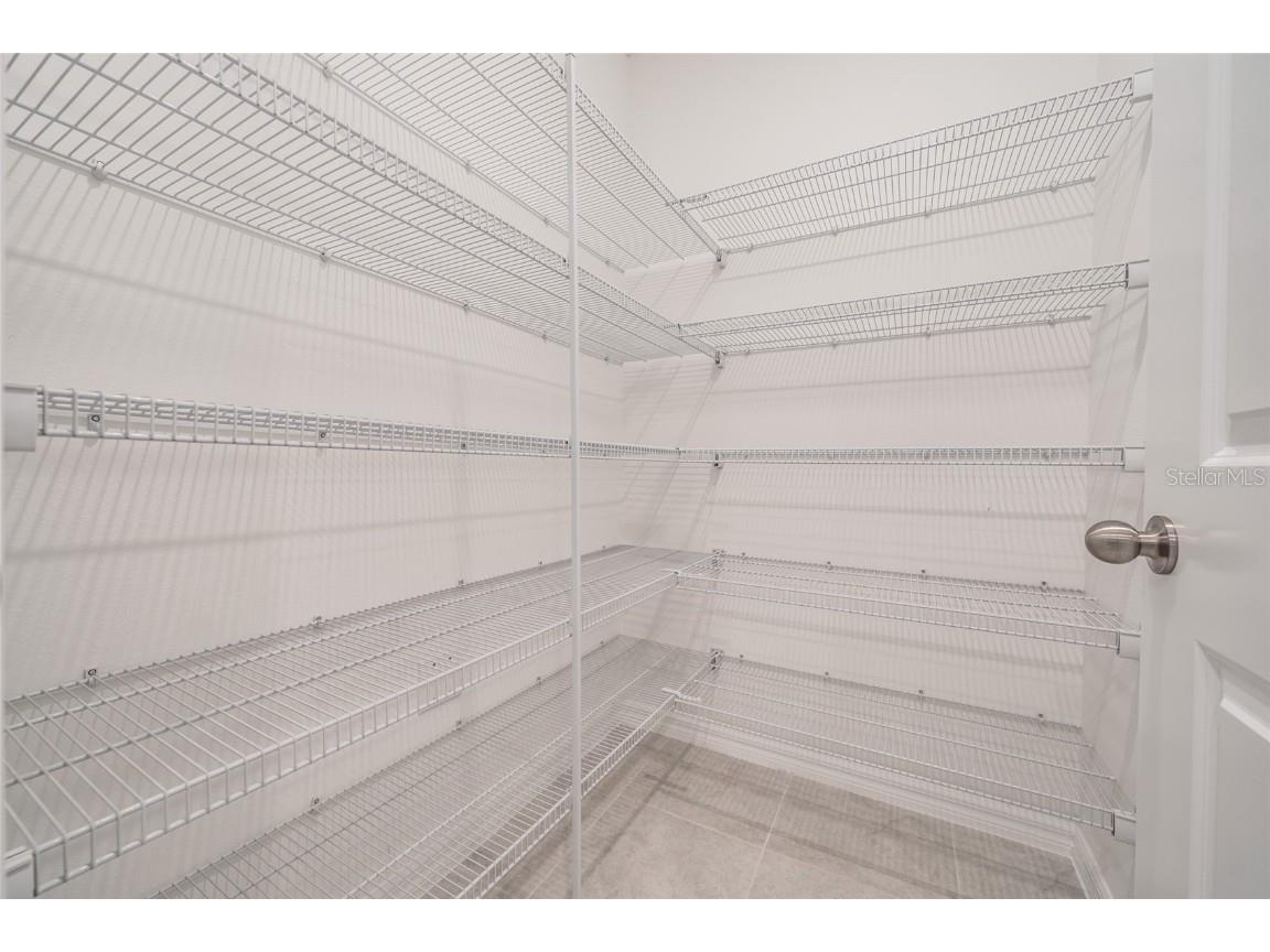 31807 Barrel Wave Way Wesley Chapel FL 33545 TB8422164 image36