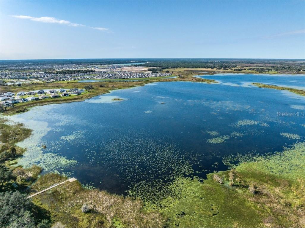 31807 Barrel Wave Way Wesley Chapel FL 33545 TB8422164 image57