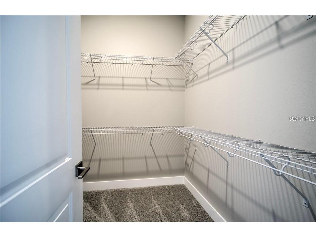 31808 Tortuga Shore Loop Wesley Chapel FL 33545 TB8514241 image21