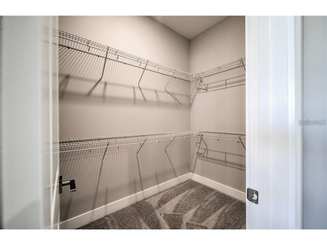 31808 Tortuga Shore Loop Wesley Chapel FL 33545 TB8514241 image22