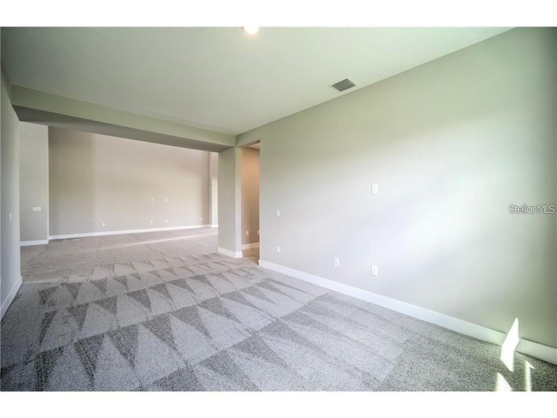 31808 Tortuga Shore Loop Wesley Chapel FL 33545 TB8514241 image28