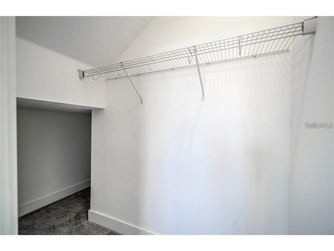 31808 Tortuga Shore Loop Wesley Chapel FL 33545 TB8514241 image36