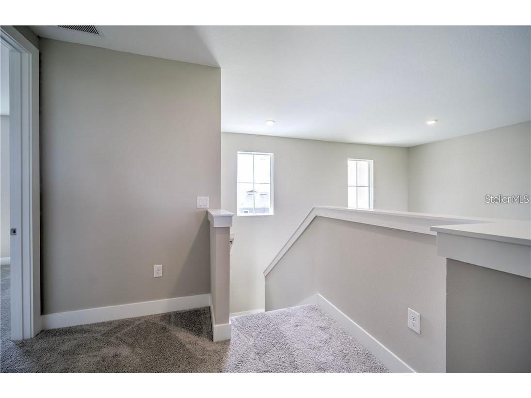 31808 Tortuga Shore Loop Wesley Chapel FL 33545 TB8514241 image41