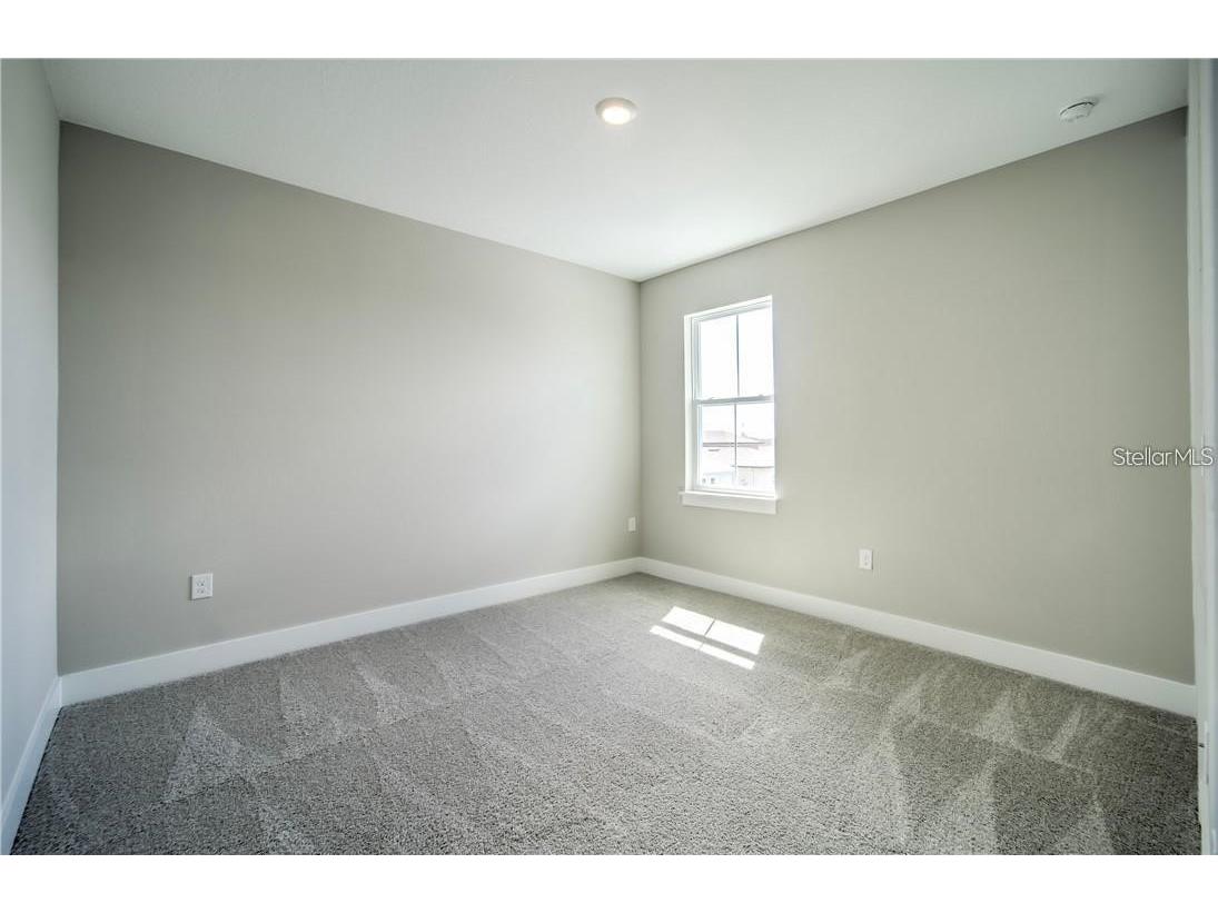 31808 Tortuga Shore Loop Wesley Chapel FL 33545 TB8514241 image46