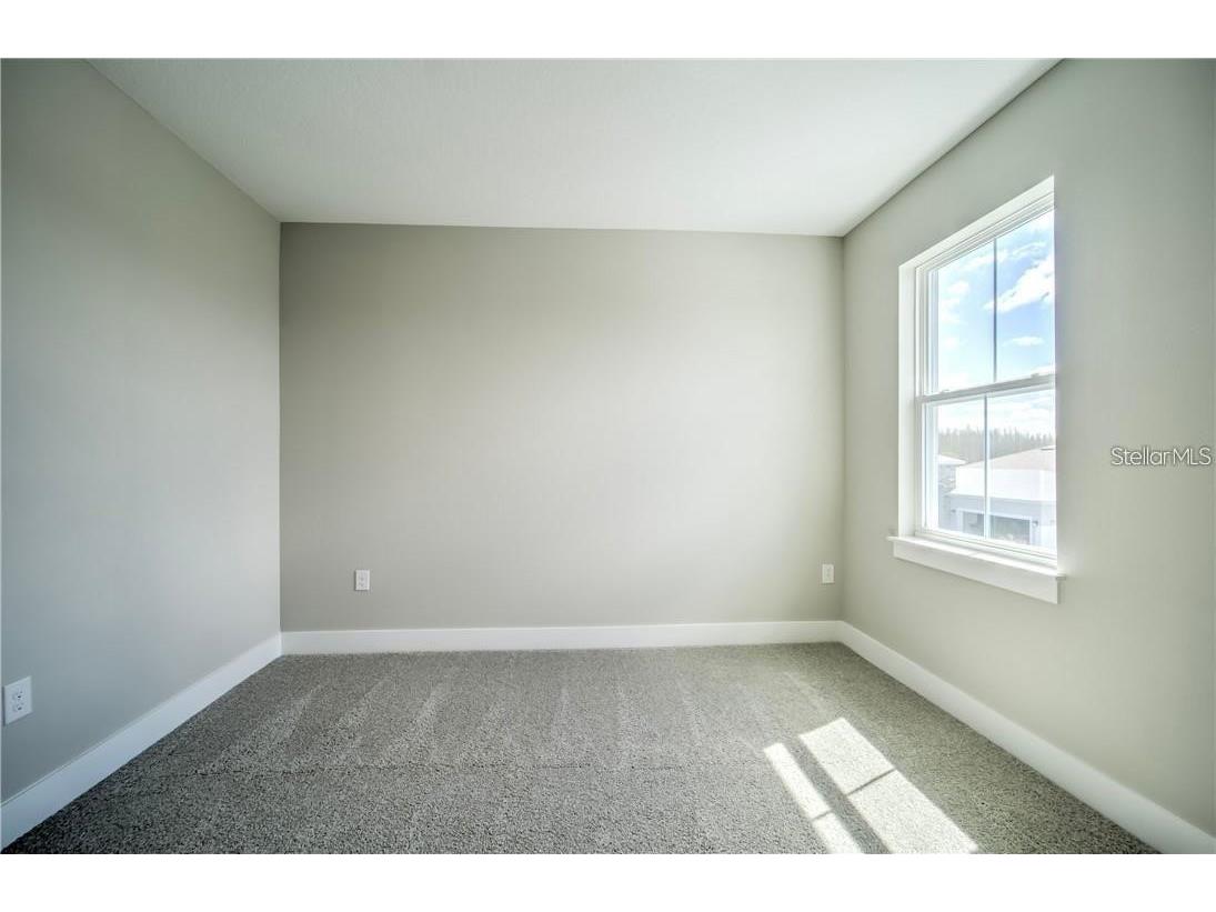31808 Tortuga Shore Loop Wesley Chapel FL 33545 TB8514241 image47