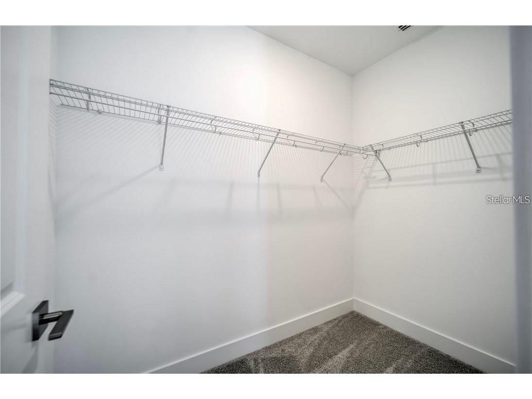 31808 Tortuga Shore Loop Wesley Chapel FL 33545 TB8514241 image49