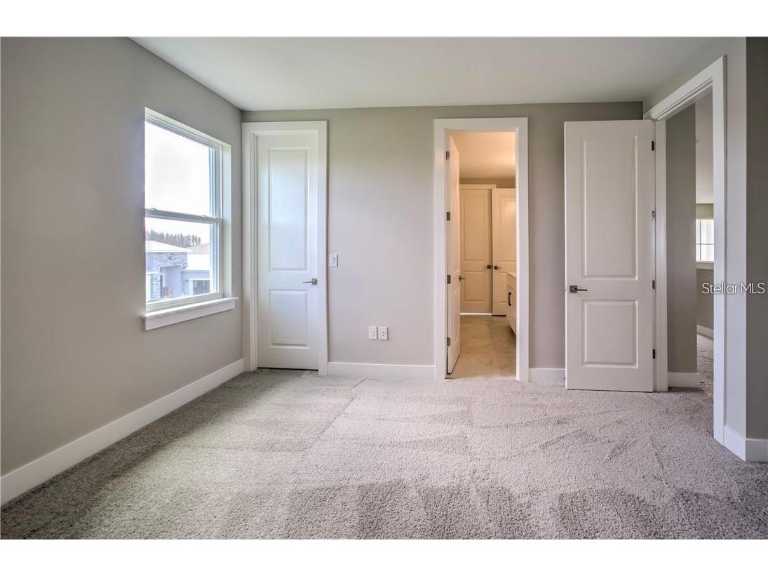 31808 Tortuga Shore Loop Wesley Chapel FL 33545 TB8514241 image53