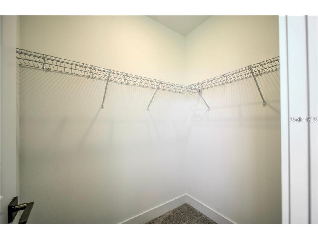 31808 Tortuga Shore Loop Wesley Chapel FL 33545 TB8514241 image55