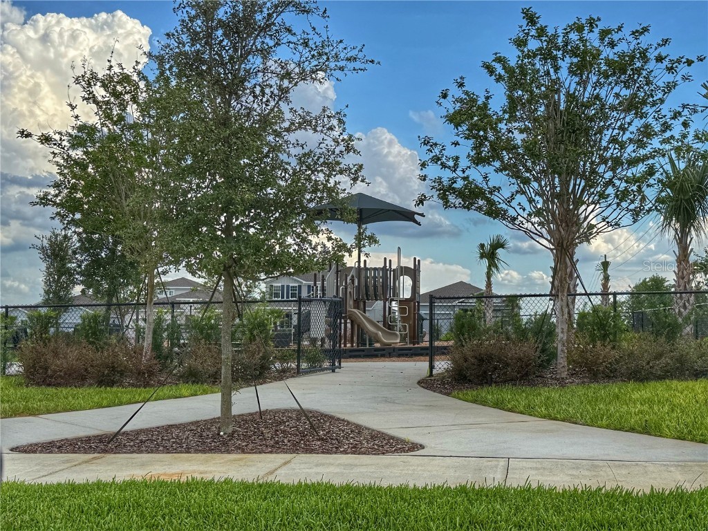 3181 Hill Point Street Minneola FL 34715 G5097527 image51