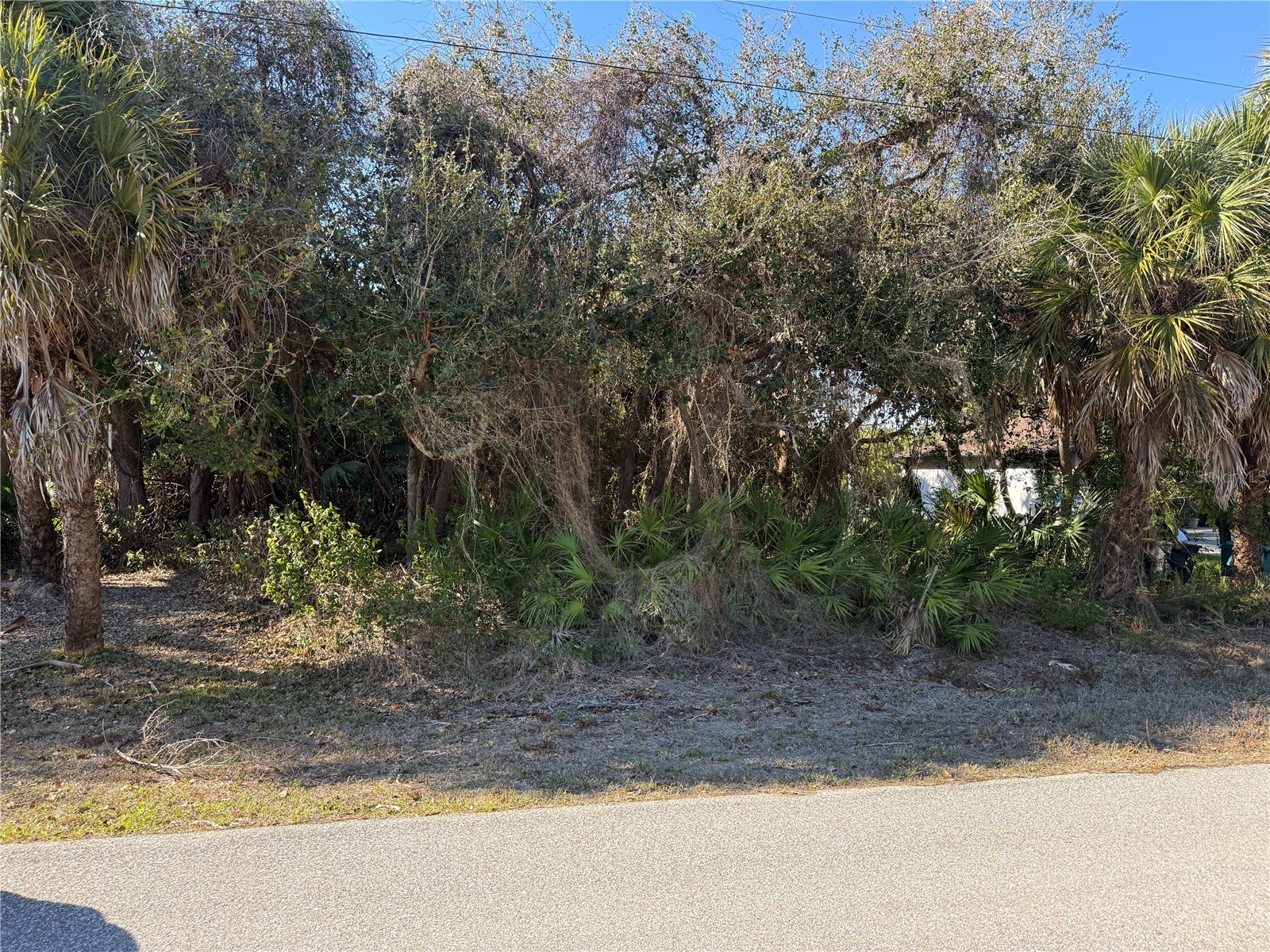 3181 Jessica Terrace Port Charlotte FL 33948 D6146253 image1