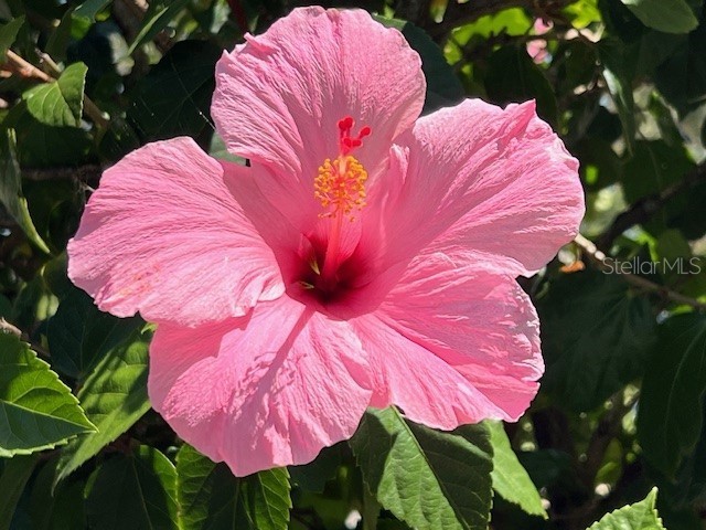 3181 Matecumbe Key Road #10 Punta Gorda FL 33955 C7491478 image9