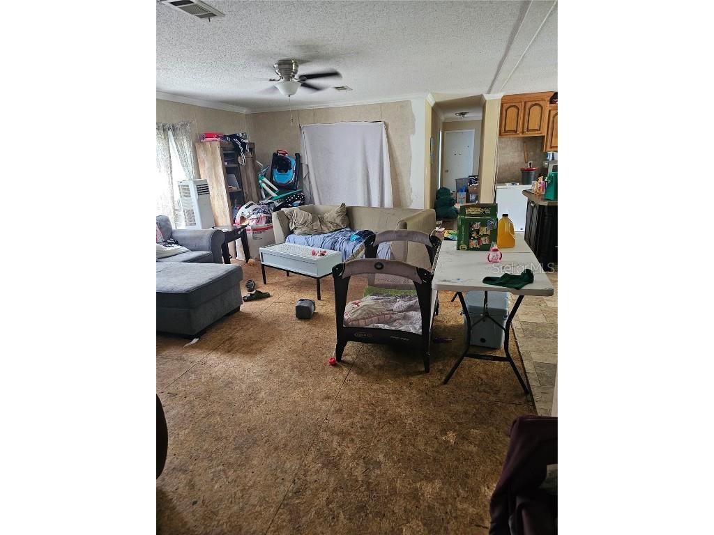 3181 NW 86th Boulevard Jasper FL 32052 O6336431 image4