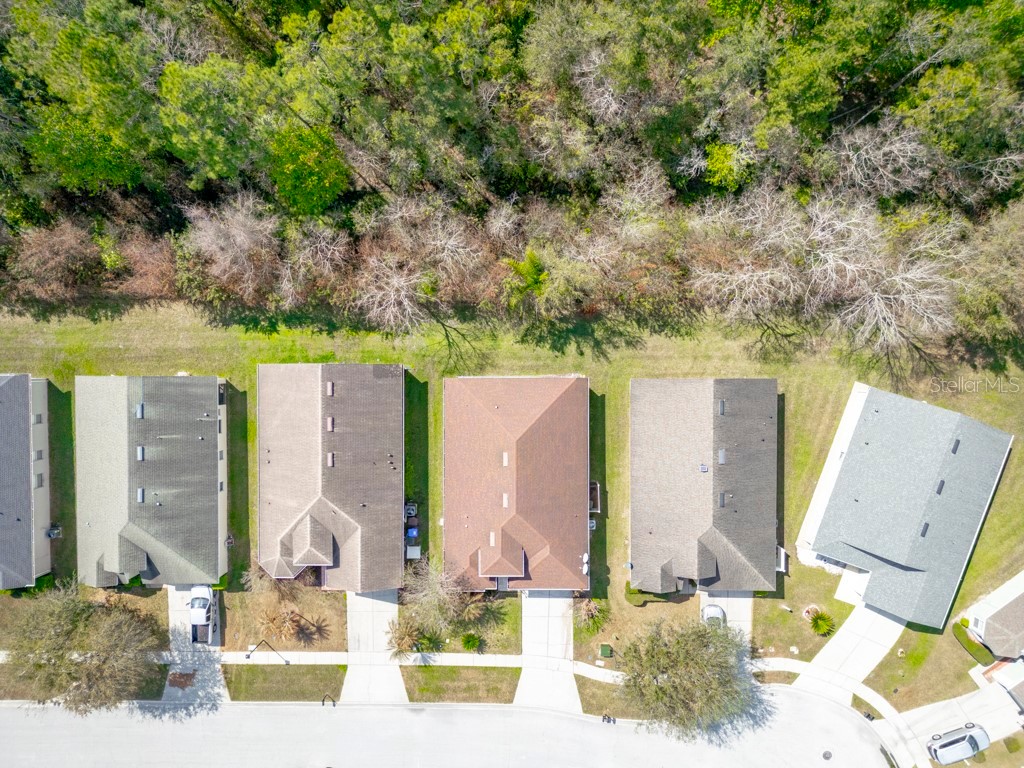 3181 Stonehurst Circle Kissimmee FL 34741 S5150133 image37