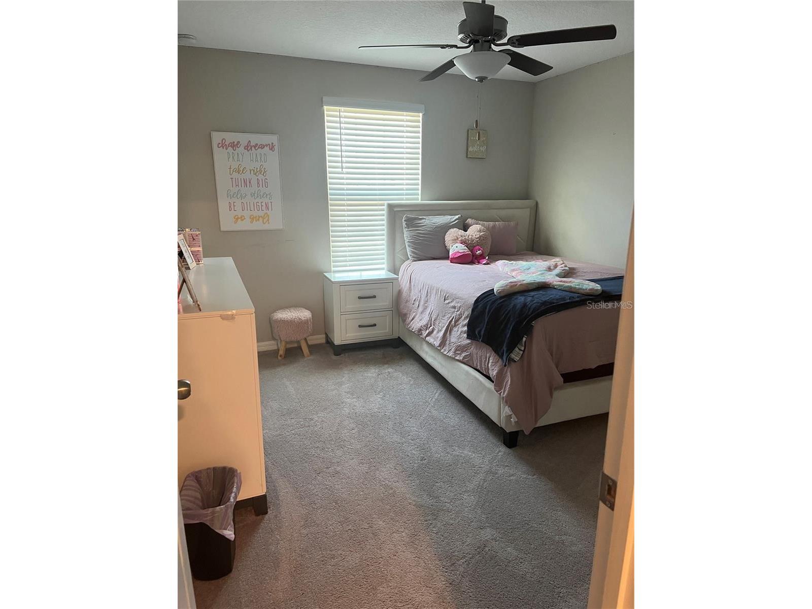31811 Sun Kettle Loop Wesley Chapel FL 33545 TB8481815 image12