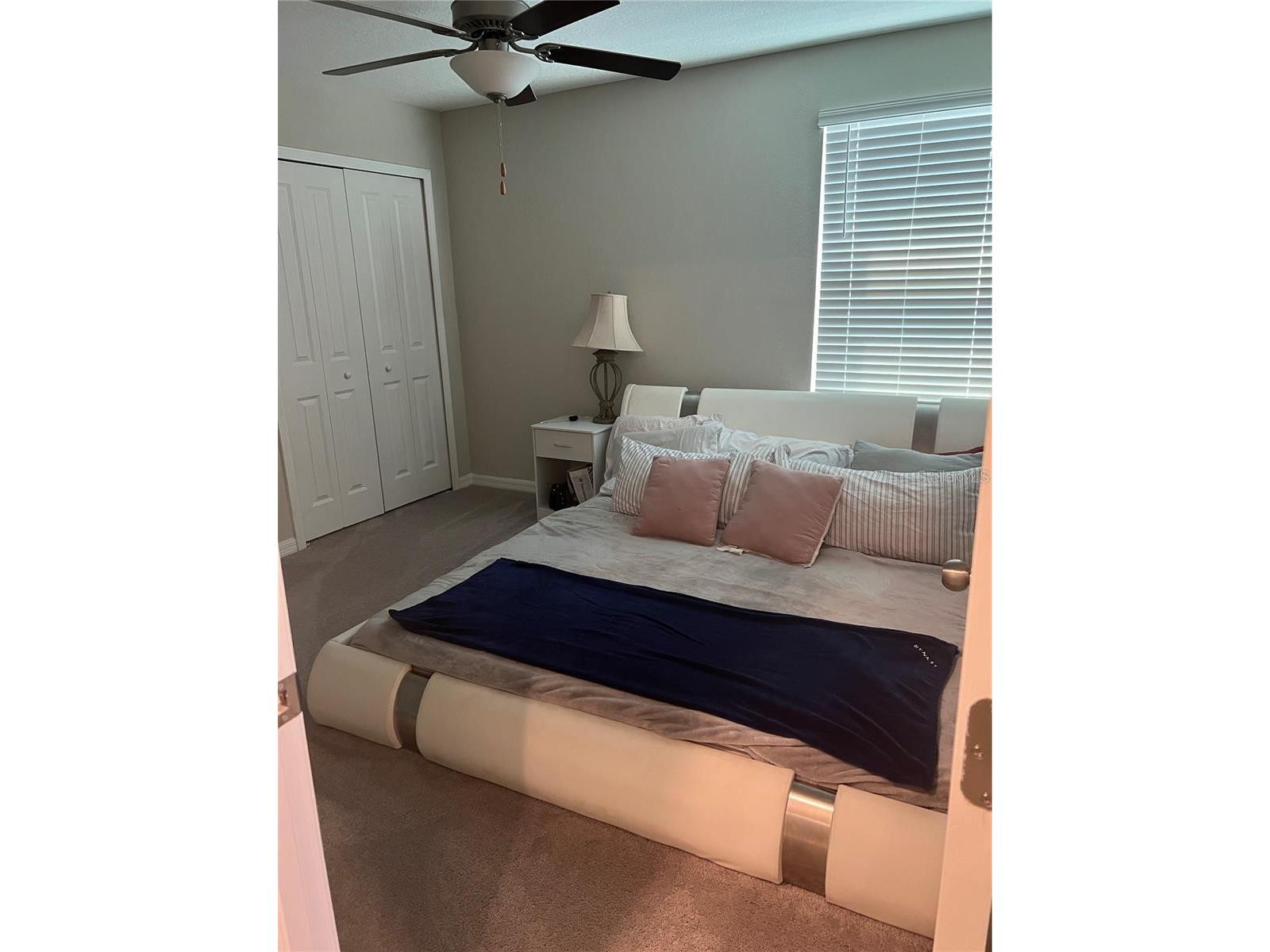 31811 Sun Kettle Loop Wesley Chapel FL 33545 TB8481815 image13