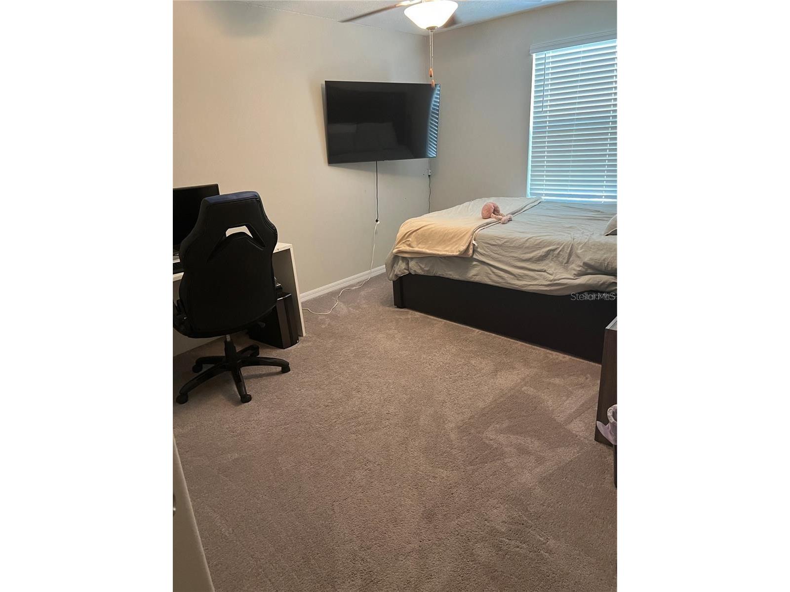 31811 Sun Kettle Loop Wesley Chapel FL 33545 TB8481815 image14