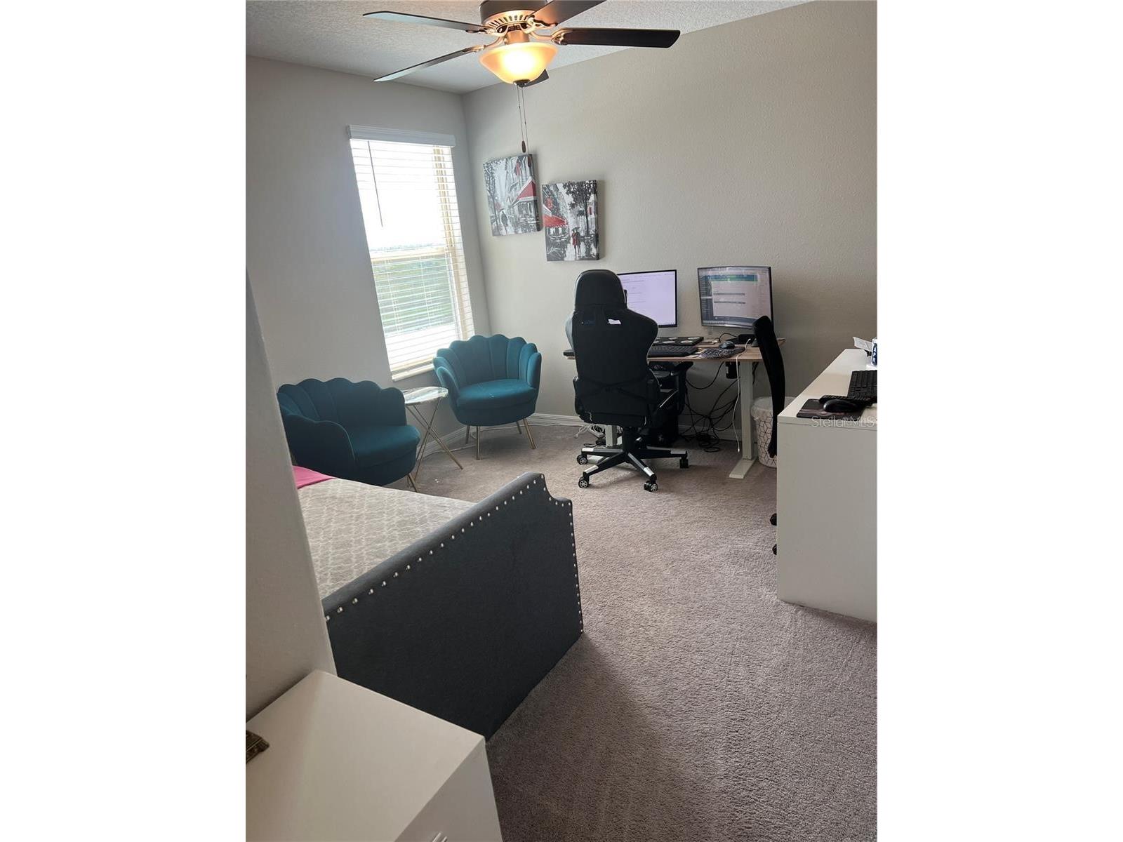 31811 Sun Kettle Loop Wesley Chapel FL 33545 TB8481815 image15