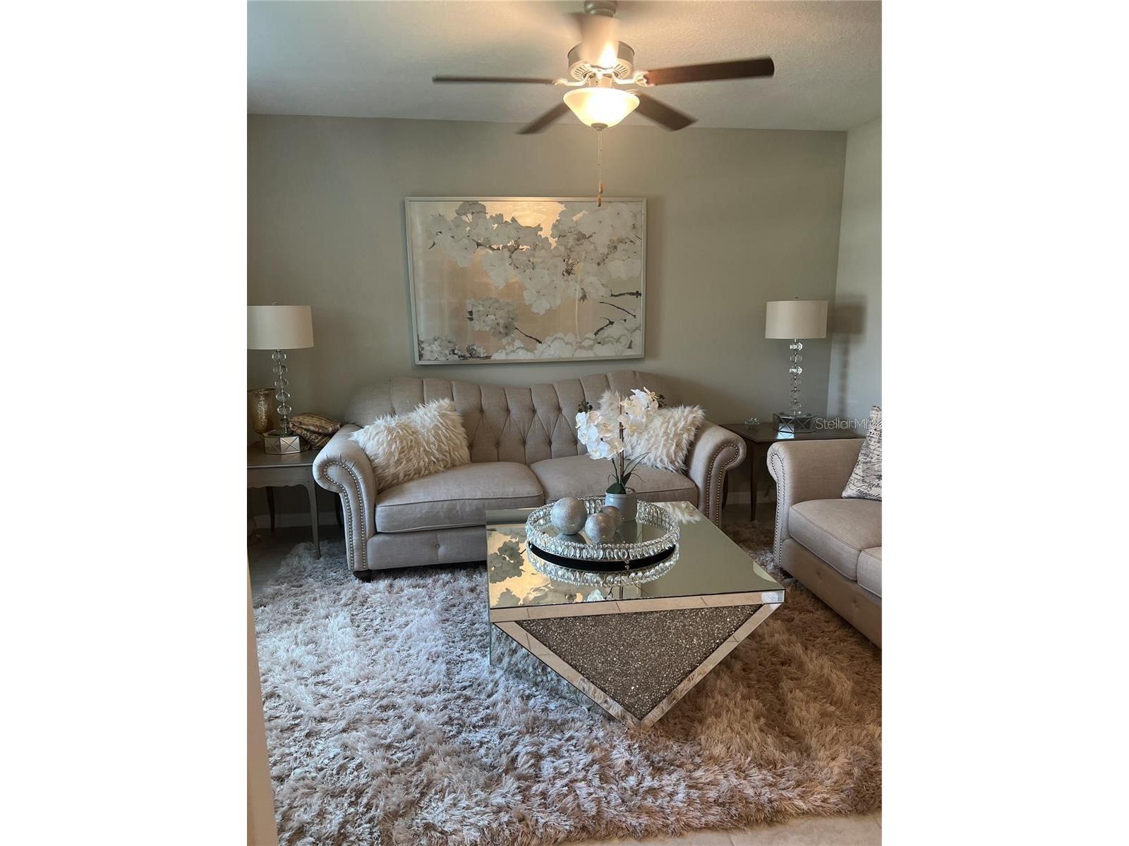 31811 Sun Kettle Loop Wesley Chapel FL 33545 TB8481815 image4