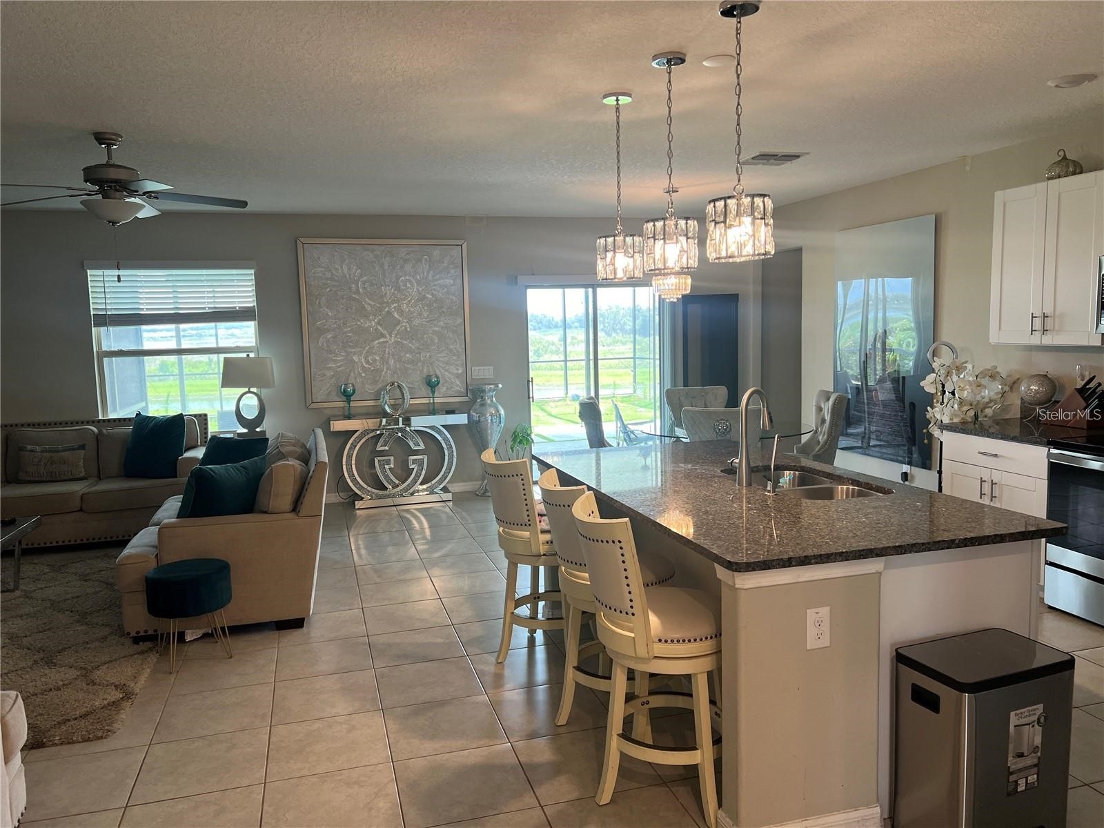 31811 Sun Kettle Loop Wesley Chapel FL 33545 TB8481815 image5