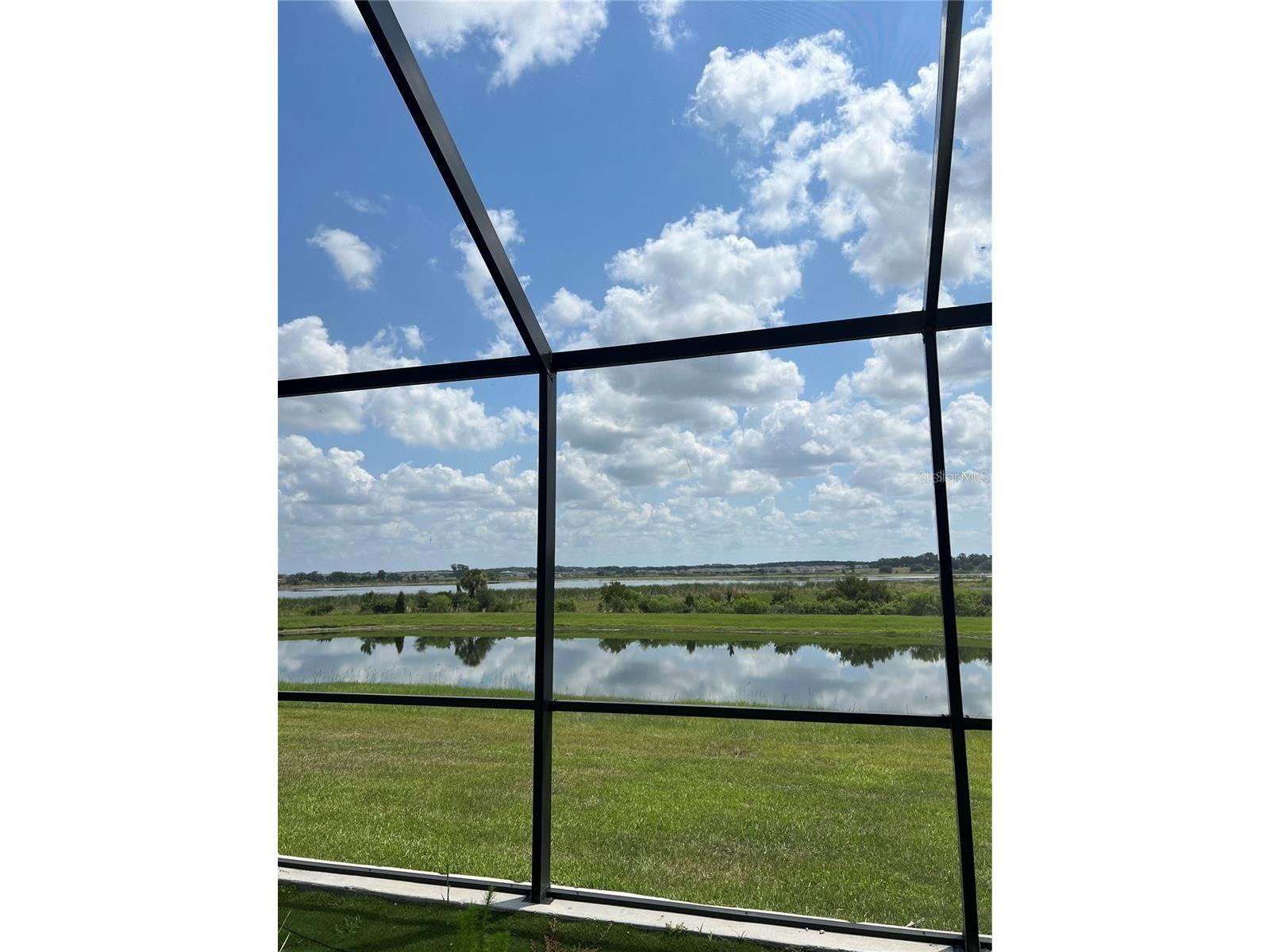 31811 Sun Kettle Loop Wesley Chapel FL 33545 TB8481815 image7