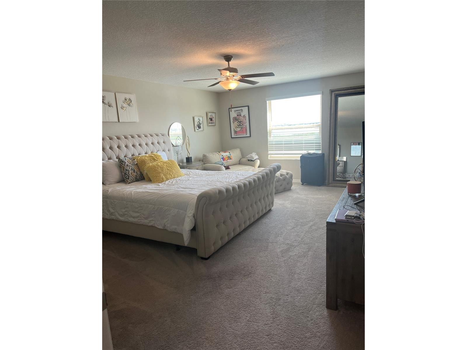 31811 Sun Kettle Loop Wesley Chapel FL 33545 TB8481815 image8