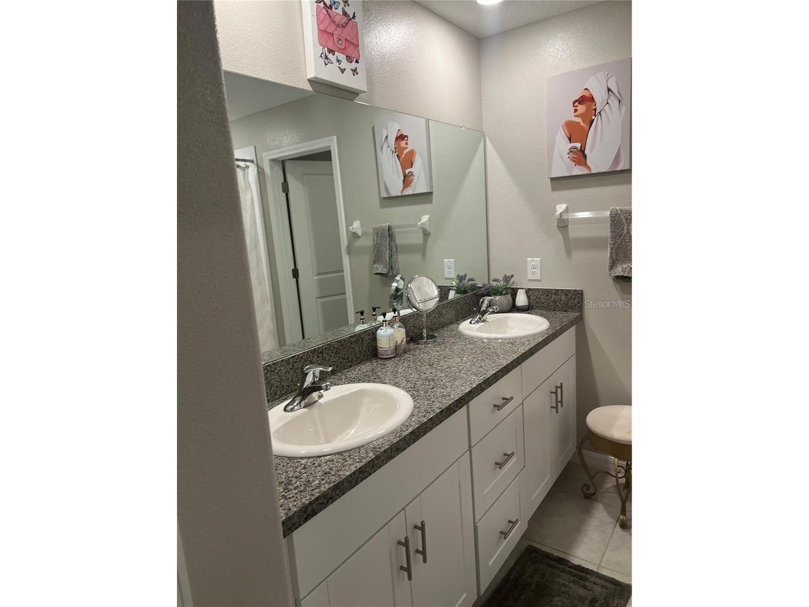 31811 Sun Kettle Loop Wesley Chapel FL 33545 TB8481815 image9