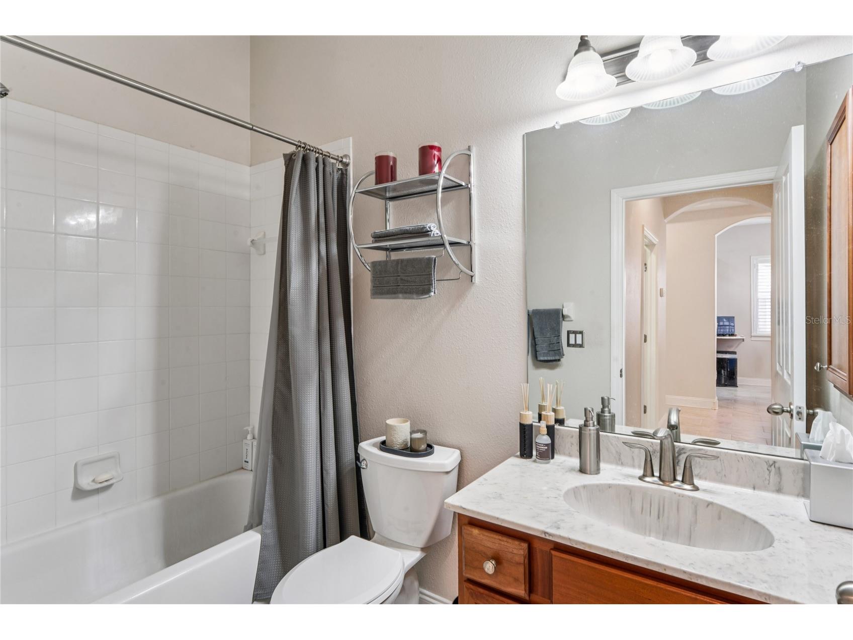31814 Blythewood Way Wesley Chapel FL 33543 TB8476655 image30