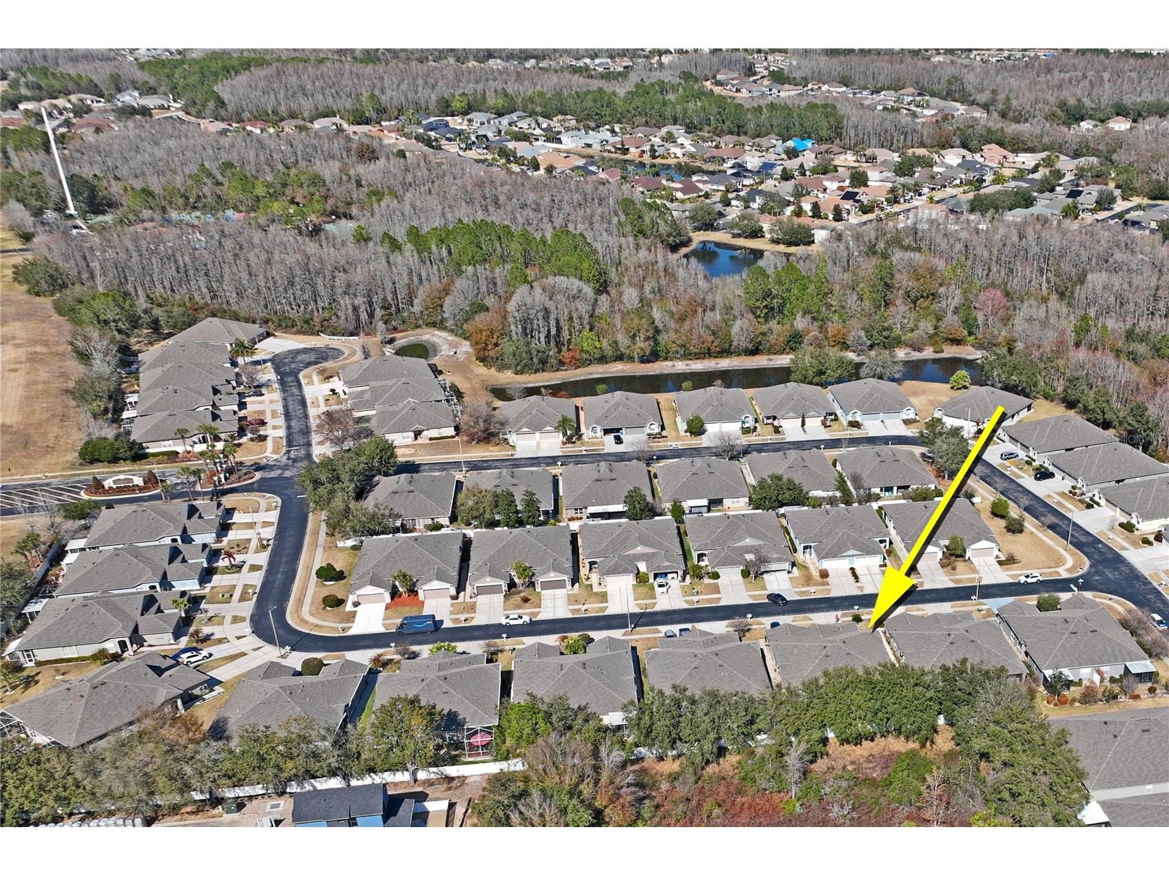 31814 Blythewood Way Wesley Chapel FL 33543 TB8476655 image44