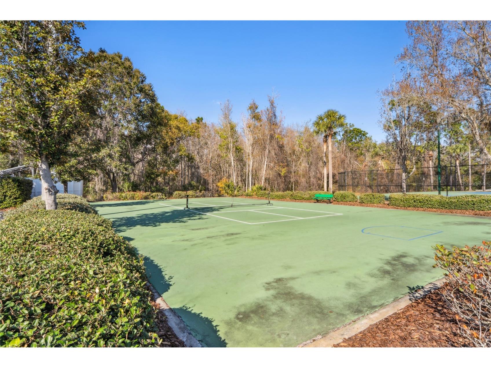 31814 Blythewood Way Wesley Chapel FL 33543 TB8476655 image51