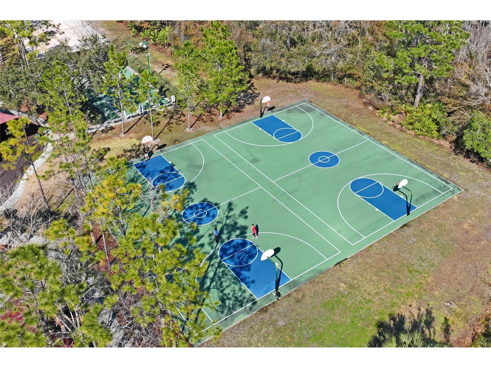 31814 Blythewood Way Wesley Chapel FL 33543 TB8476655 image53