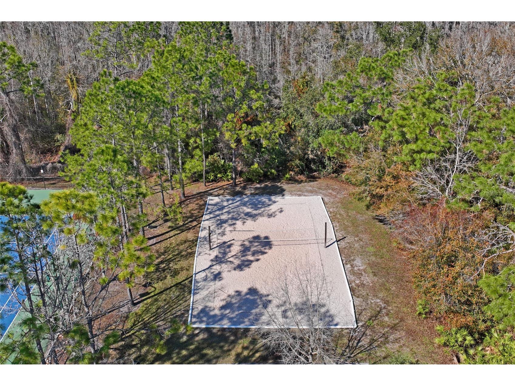 31814 Blythewood Way Wesley Chapel FL 33543 TB8476655 image54
