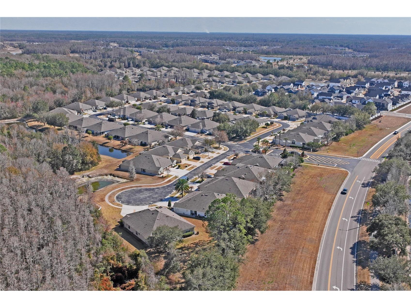 31814 Blythewood Way Wesley Chapel FL 33543 TB8476655 image55