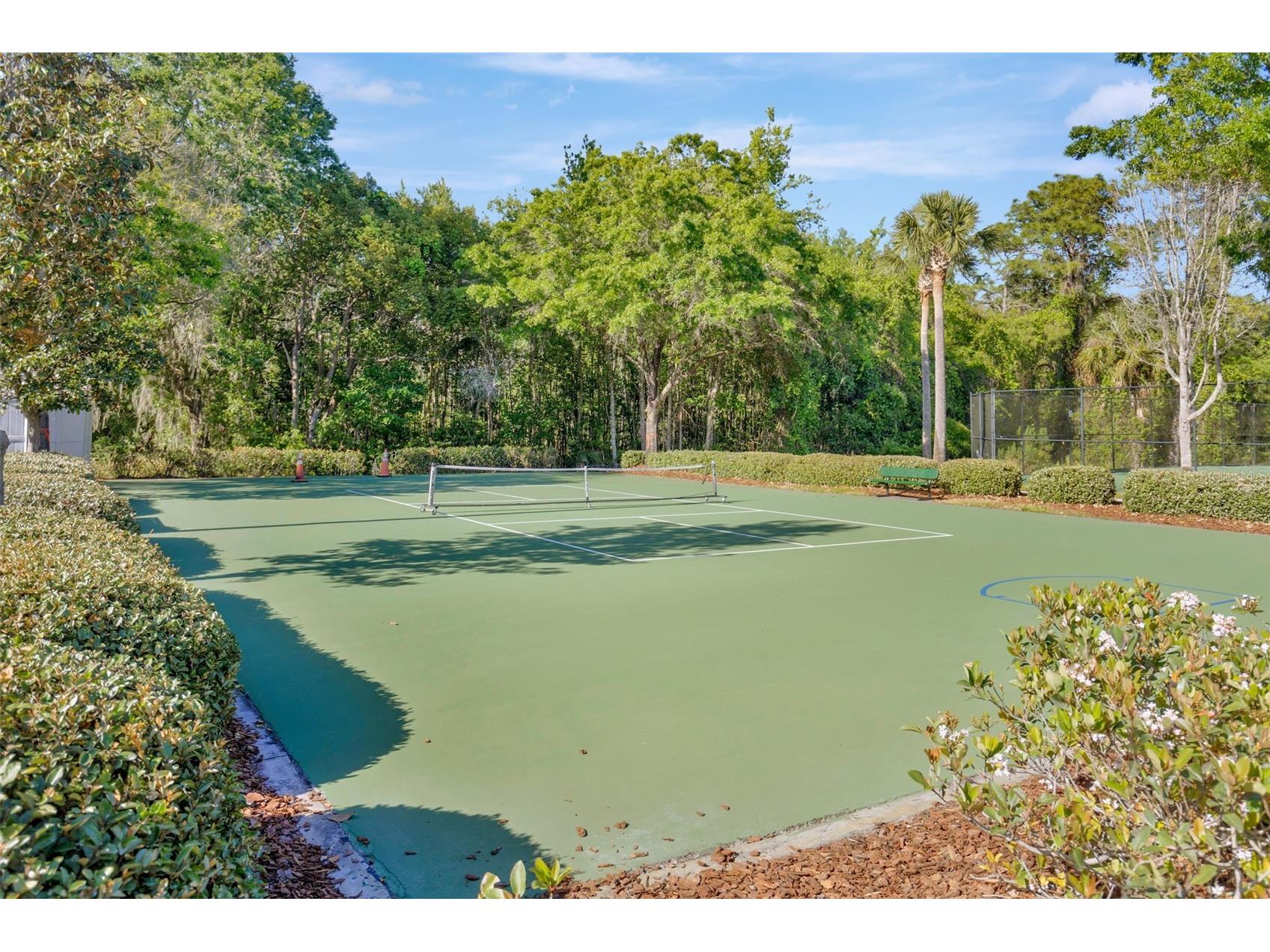 31814 Larkenheath Drive Wesley Chapel FL 33543 TB8504073 image60