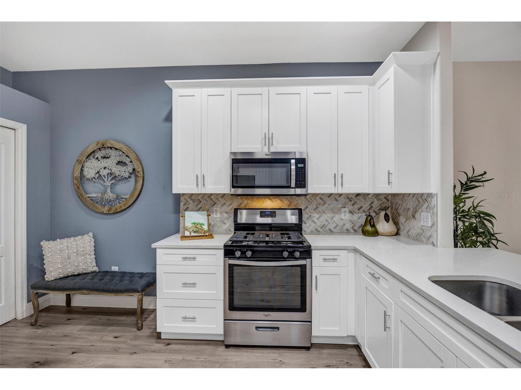 31814 Larkenheath Drive Wesley Chapel FL 33543 TB8504073 image7