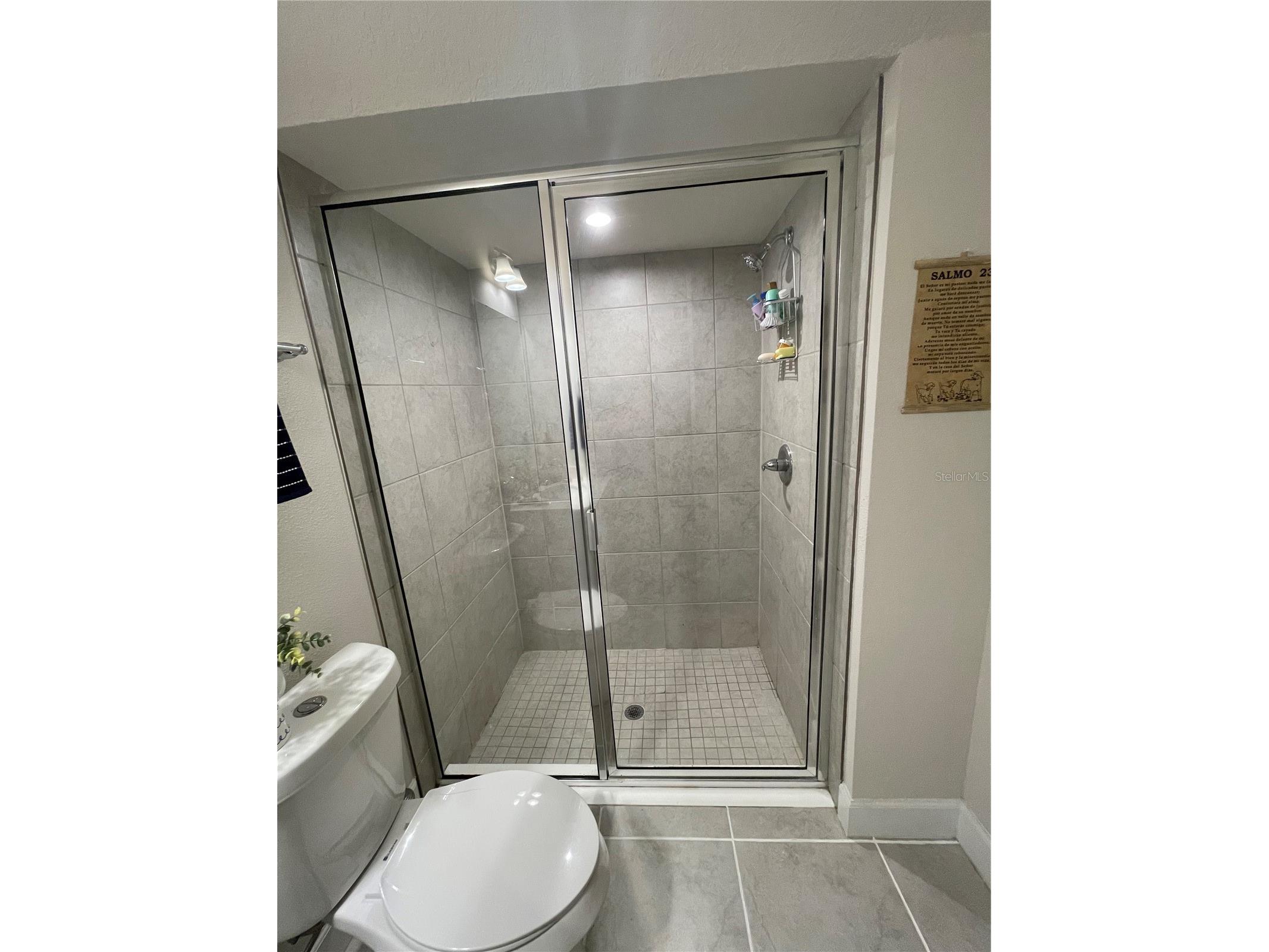 3182 Armstrong Spring Drive Kissimmee FL 34744 S5153745 image67
