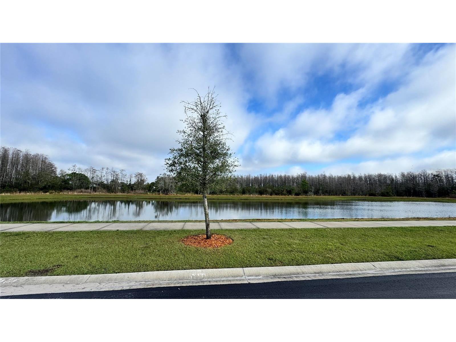 3182 Eagle Hammock Circle Kissimmee FL 34743 S5151978 image11