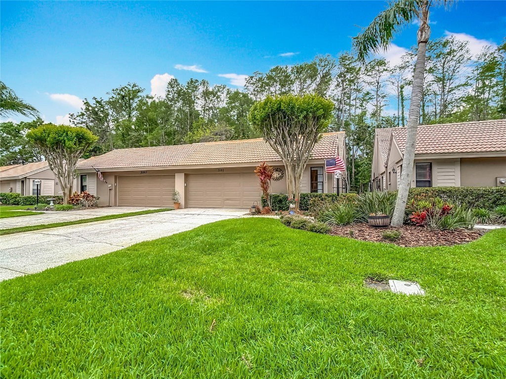 3182 Windmoor Drive N Palm Harbor FL 34685 TB8439777 image1
