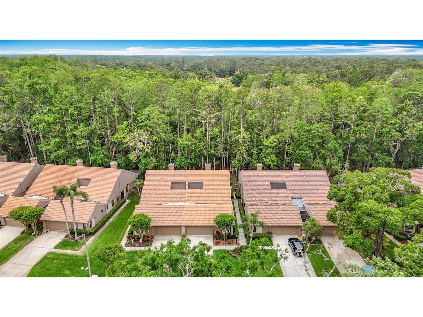 3182 Windmoor Drive N Palm Harbor FL 34685 TB8439777 image2