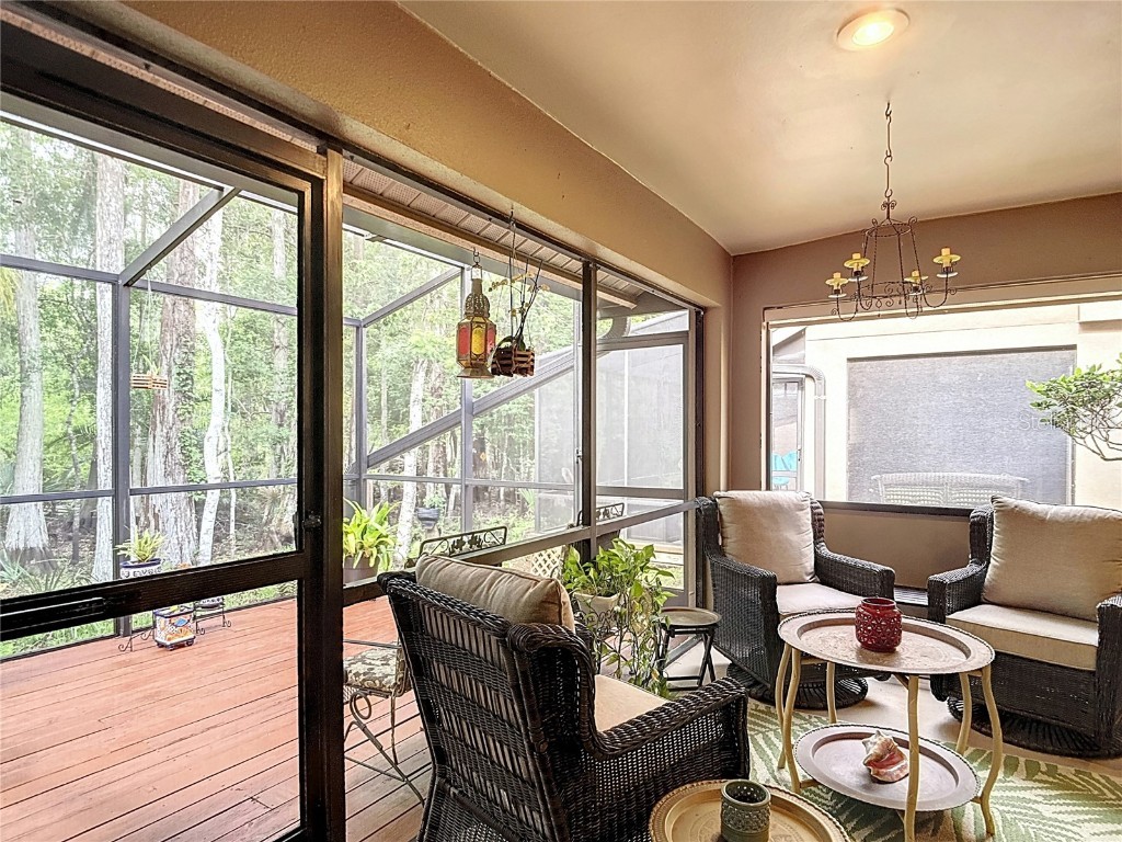 3182 Windmoor Drive N Palm Harbor FL 34685 TB8439777 image38