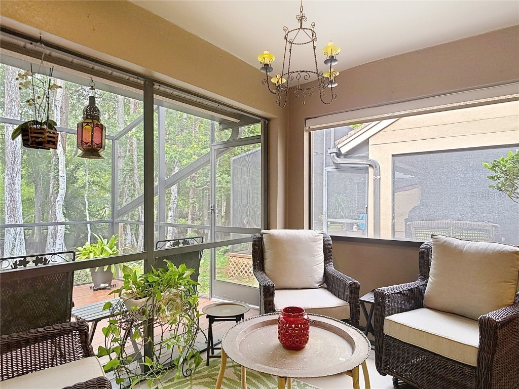 3182 Windmoor Drive N Palm Harbor FL 34685 TB8439777 image39