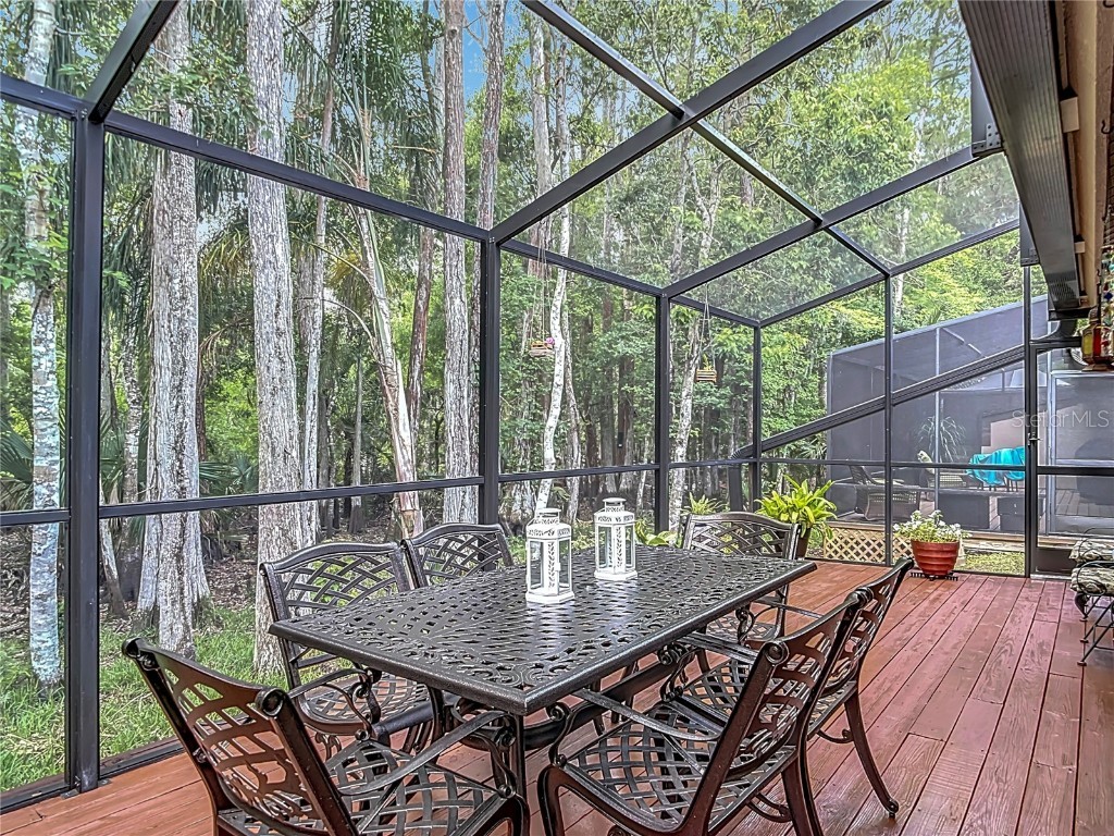 3182 Windmoor Drive N Palm Harbor FL 34685 TB8439777 image45