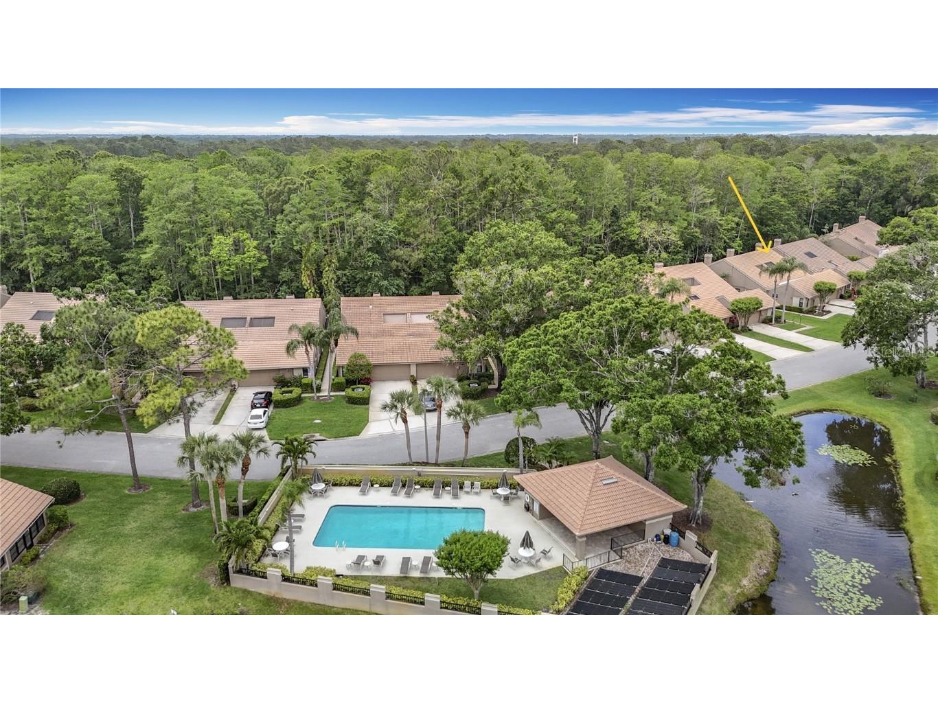 3182 Windmoor Drive N Palm Harbor FL 34685 TB8439777 image48