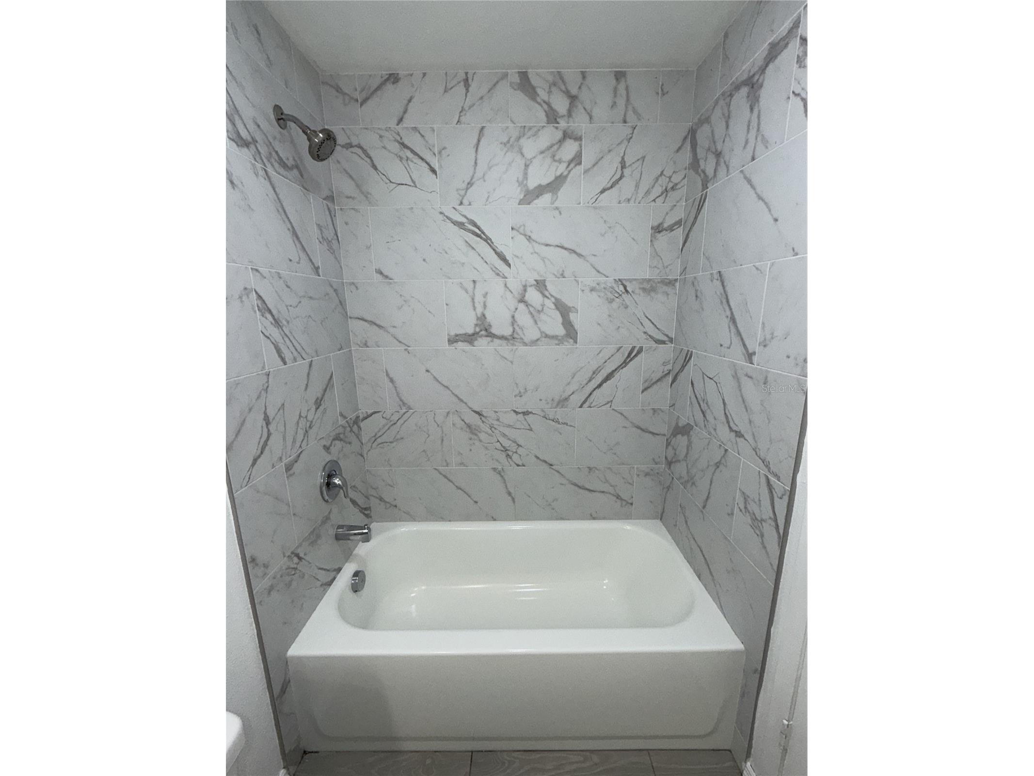 31822 Sybil Avenue Sorrento FL 32776 O6396734 image10