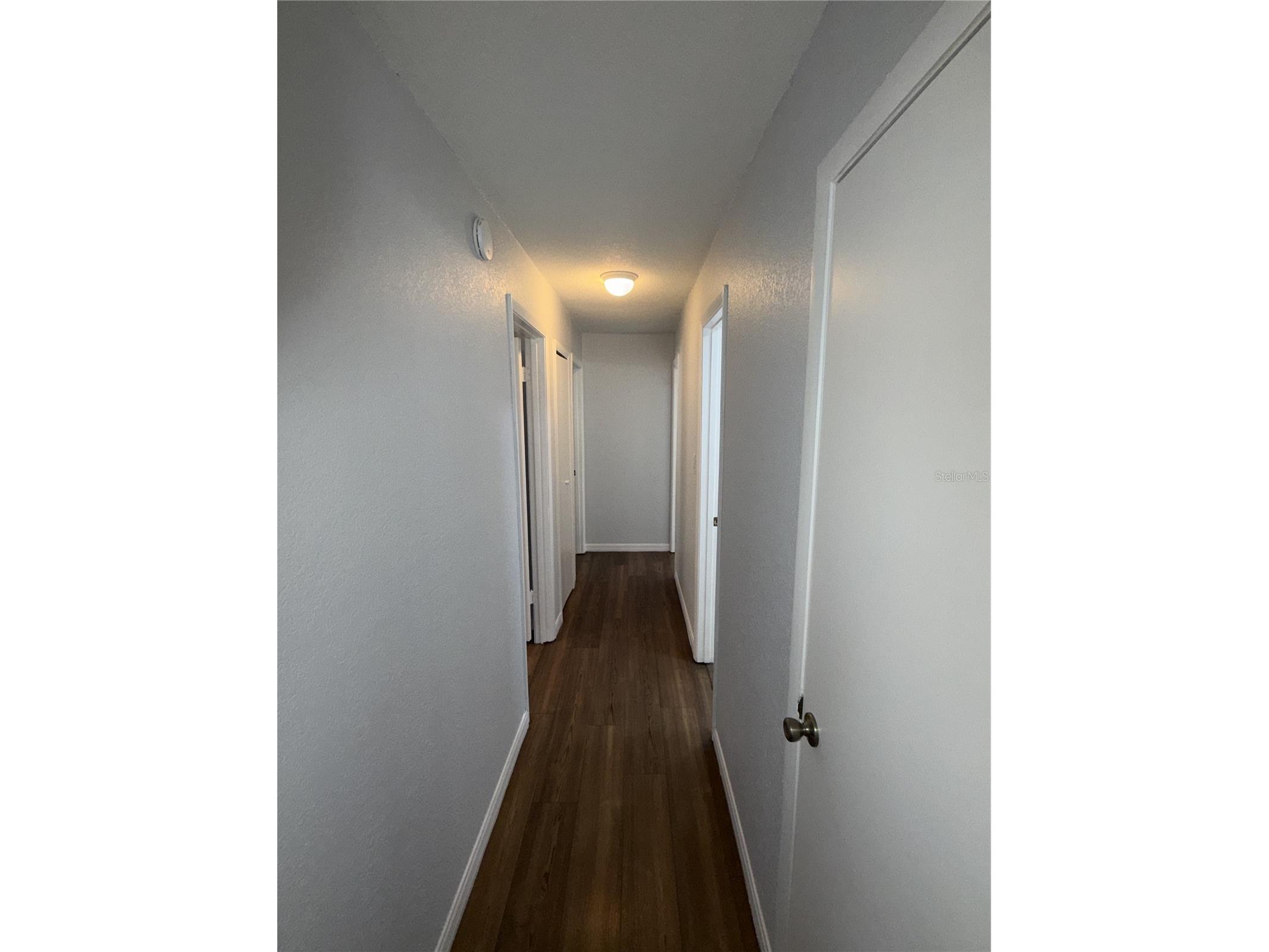 31822 Sybil Avenue Sorrento FL 32776 O6396734 image18