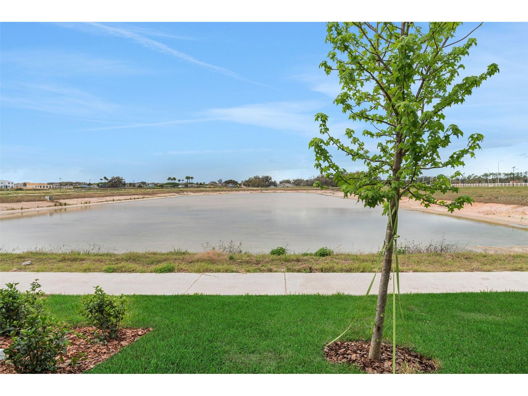 31825 Kestrel Calling Drive San Antonio FL 33576 TB8501139 image4